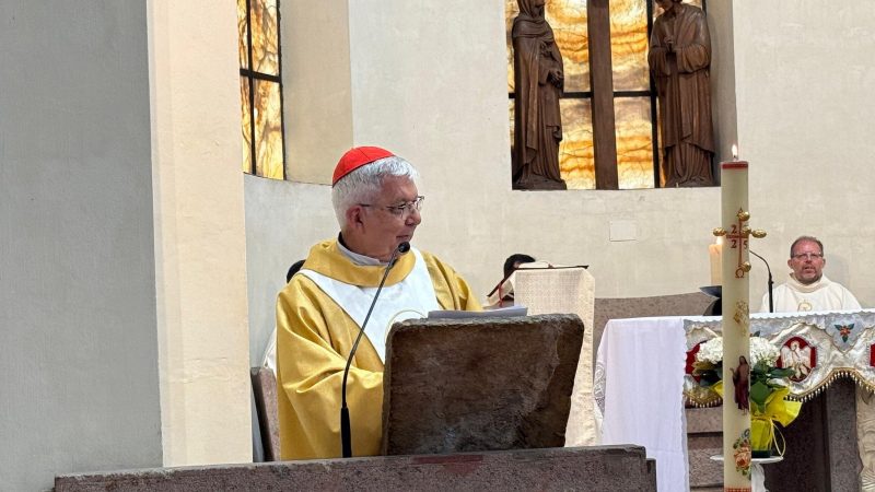 Cardenal Adalberto Martínez: «Huérfanos de Francisco, unidos por el futuro de la Iglesia»