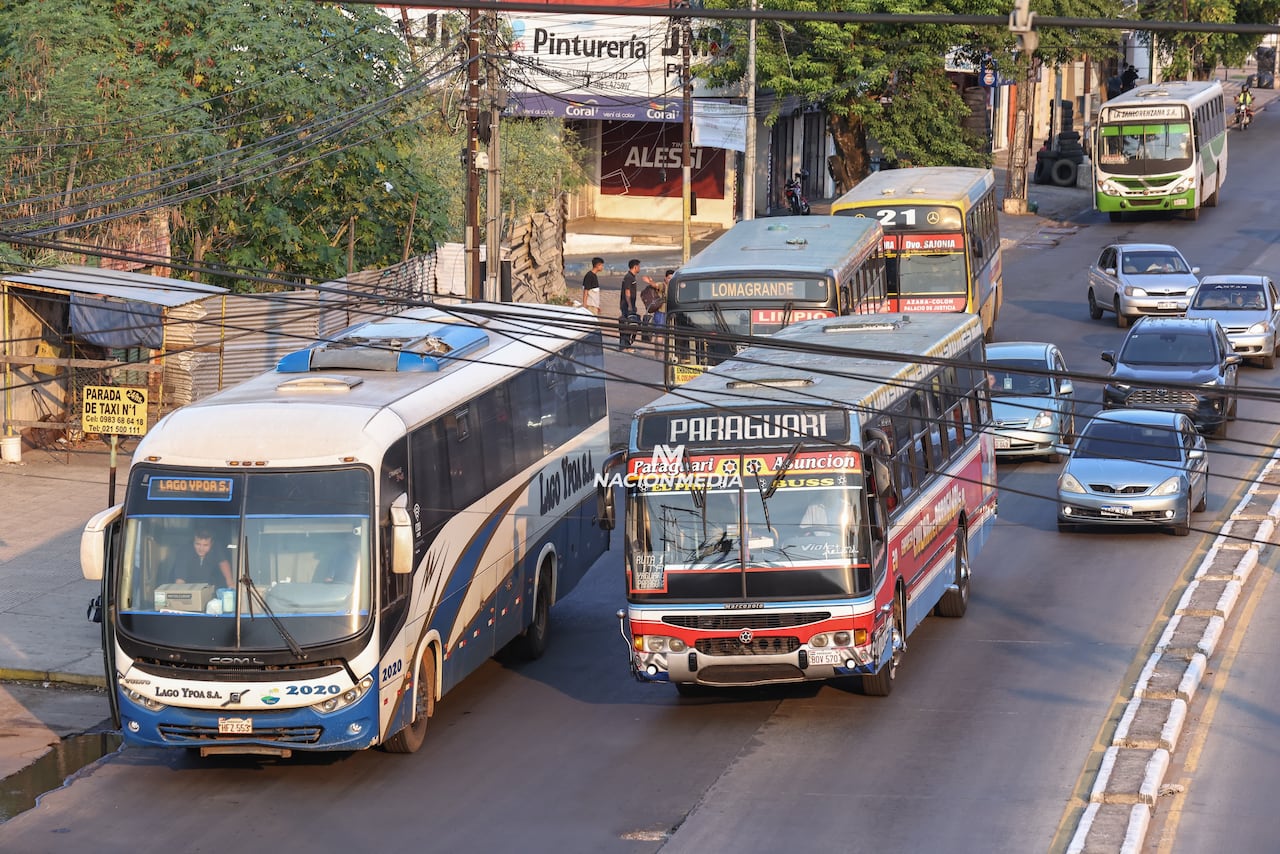 Insistirán en eliminar subsidio de USD 40 millones al transporte público