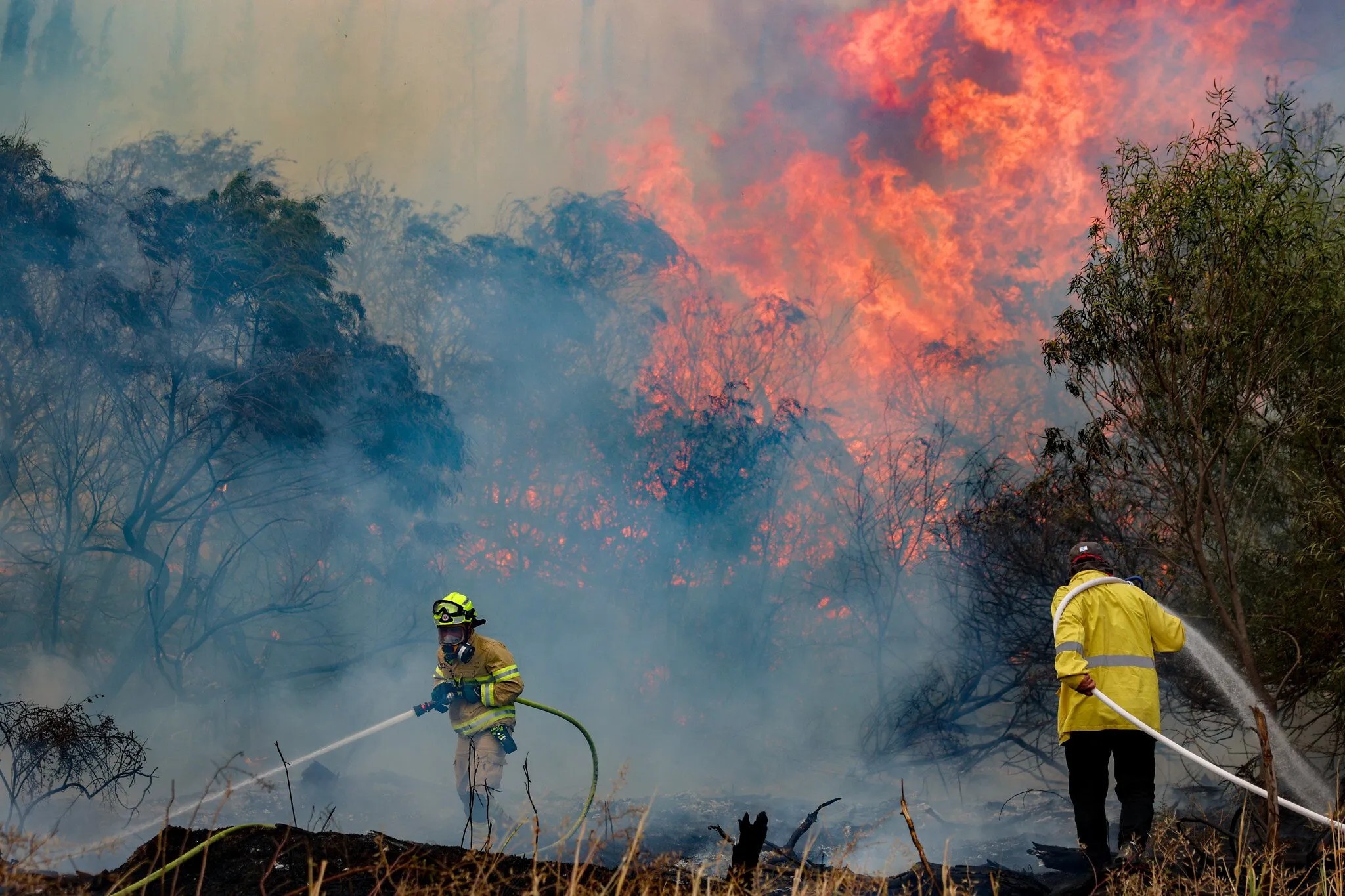 Paraguay extiende su apoyo a Israel: “Nos mantenemos atentos y solidarios” ante incendios en Jerusalén