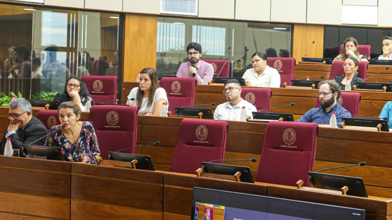 Residentes médicos exigen ley y más recursos al Senado ante precarias condiciones laborales