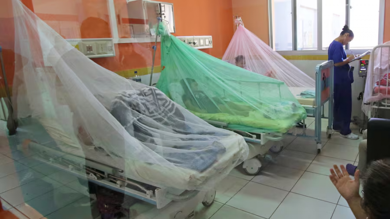 Detectan circulación comunitaria de dengue y de chikungunya