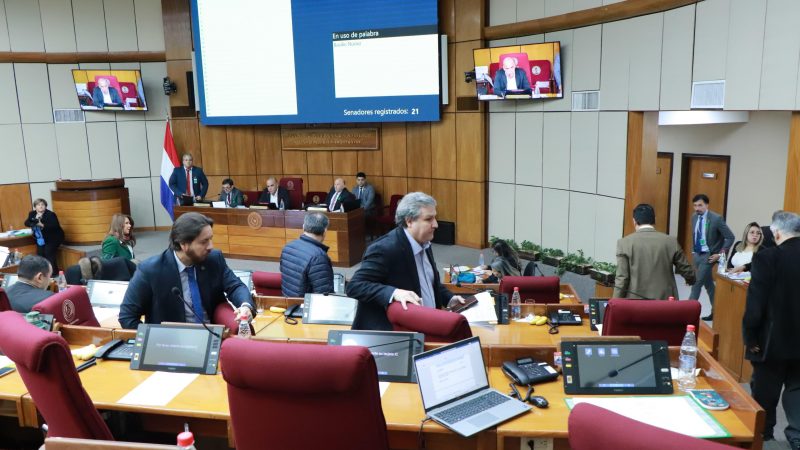 «Animal no sintiente» sin acuerdo: Dejan sin quórum sesión en repudio a la nominación de Filártiga como embajador