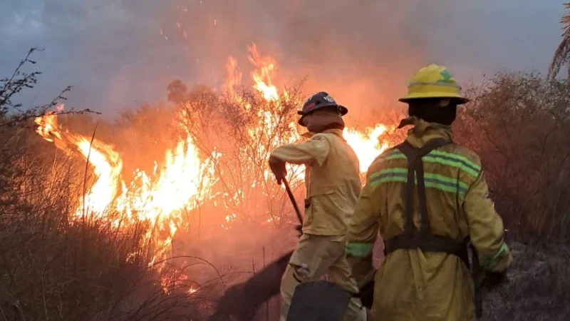 Bomberos combaten voraz incendio forestal en la zona Luque-San Bernardino