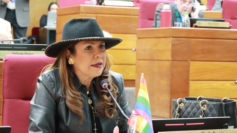 “Hay senadores gays que discriminan a los gays”, lanza Celeste Amarilla en el Senado