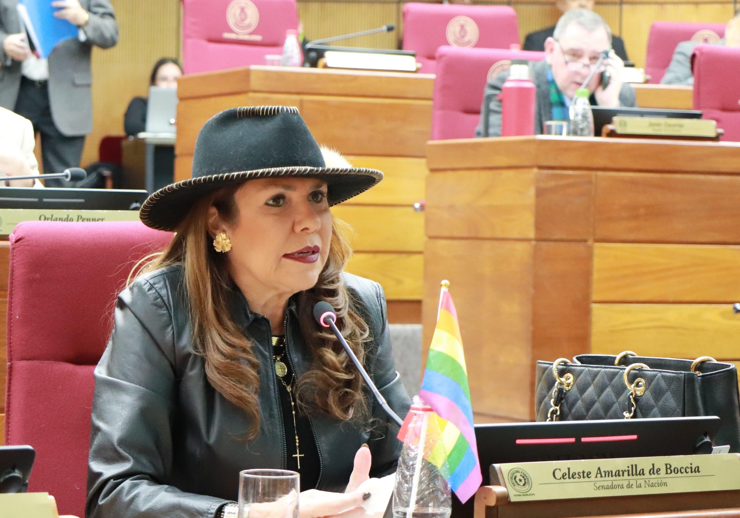 “Hay senadores gays que discriminan a los gays”, lanza Celeste Amarilla en el Senado