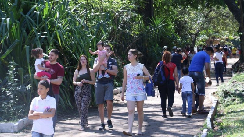 Proponen conmemorar el “Día de la Familia” en vez del Día del Padre o de la Madre
