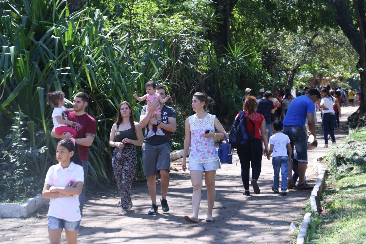 Proponen conmemorar el “Día de la Familia” en vez del Día del Padre o de la Madre