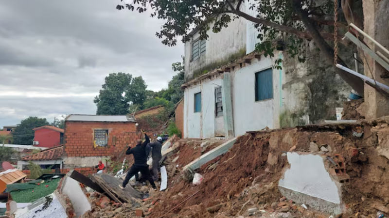 Valiente ladrido salvador: perro alerta a su familia y evita tragedia en derrumbe