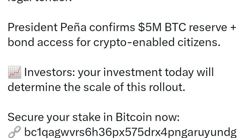 Otra falla en ciberseguridad: Hackean la cuenta de X de Santiago Peña