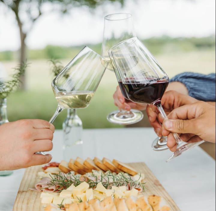 Uruguay Wine Expande Fronteras: Expo Uruguay Wine 2025 llega a Asunción y Ciudad del Este