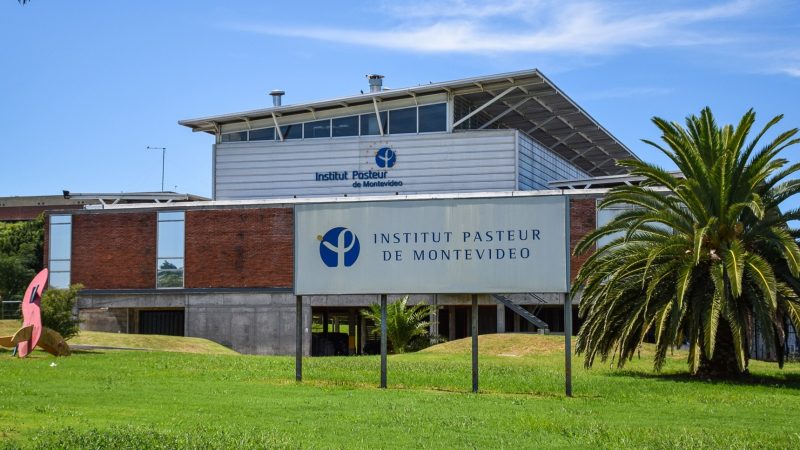 Uruguay desarrolla el primer fármaco de Sudamérica contra la obesidad