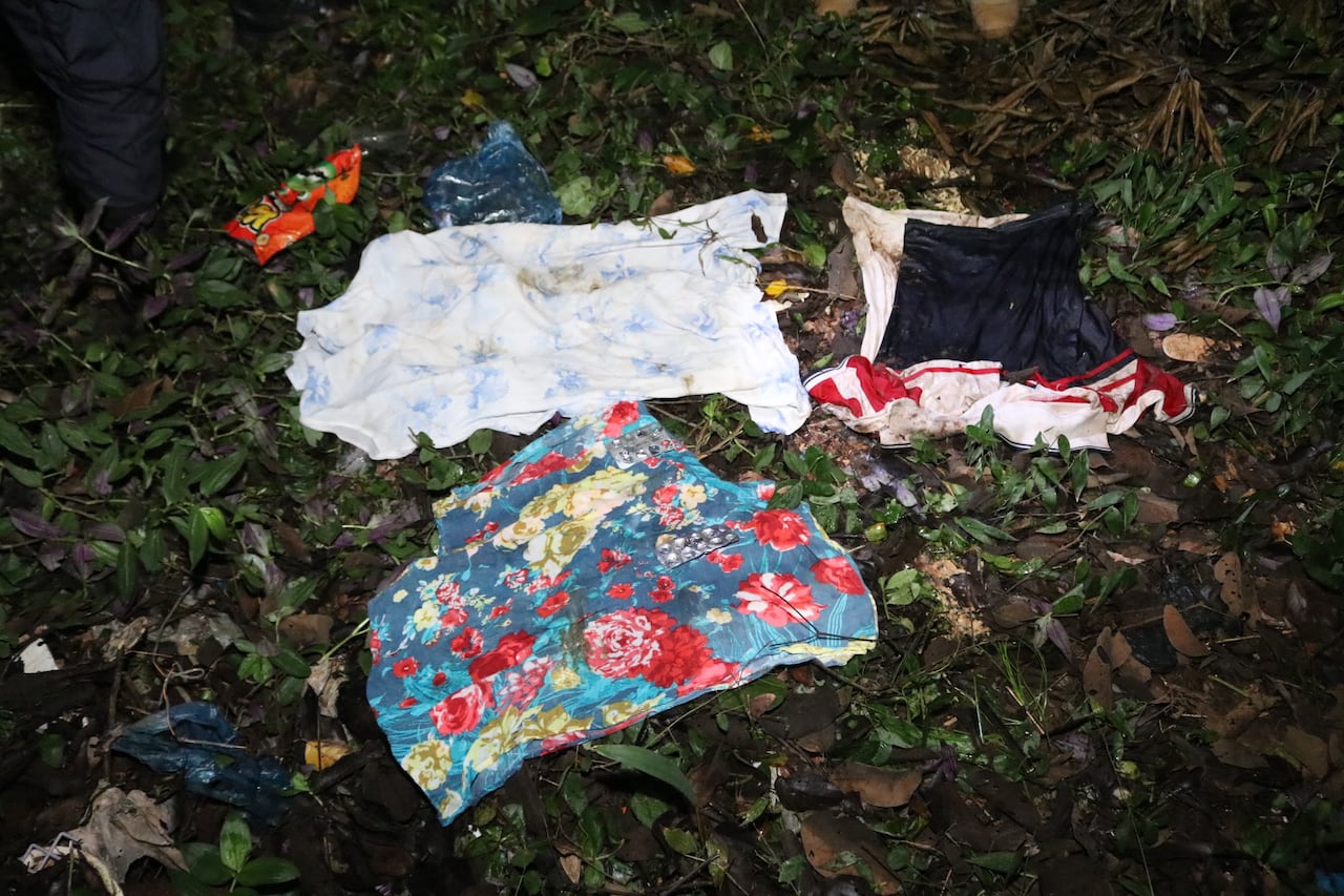 Caso Fernanda: No hallan evidencias en carretilla, pala y ropas, ahora apuntan al celular