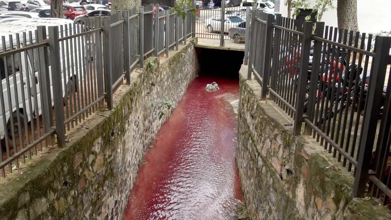 Conocido arroyo de Asunción, teñido de rojo: MADES ya investiga causa