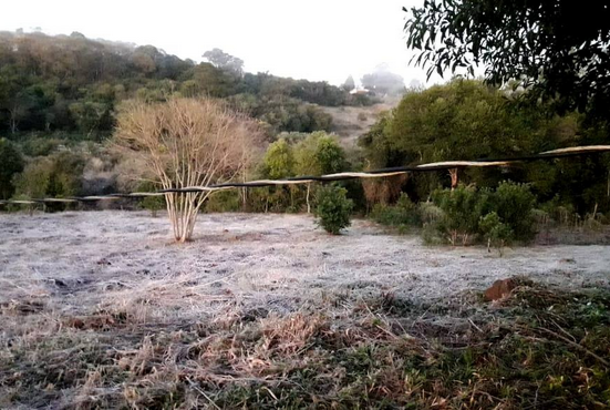 Heladas afectaron varios cultivos en el país, sobre todo de productos frutihortícolas