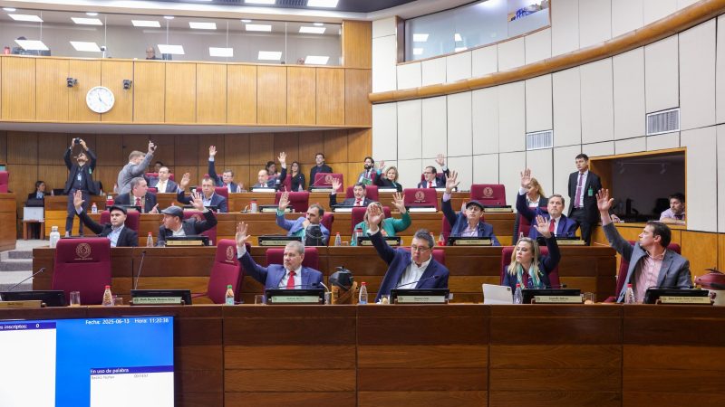 Proyectos de modificación del Código Electoral son “antipartido”, afirmó senadora Lilian Samaniego