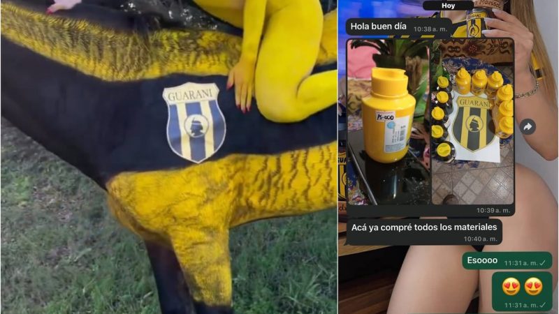 Investigan a modelo por caballo pintado en sesión de fotos