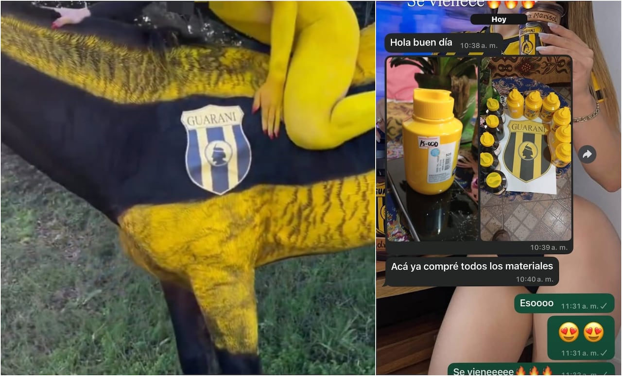 Investigan a modelo por caballo pintado en sesión de fotos