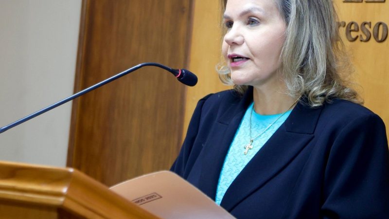 “Este sistema es infraterno y destruye la cohesión partidaria”, advirtió la senadora Lilian Samaniego