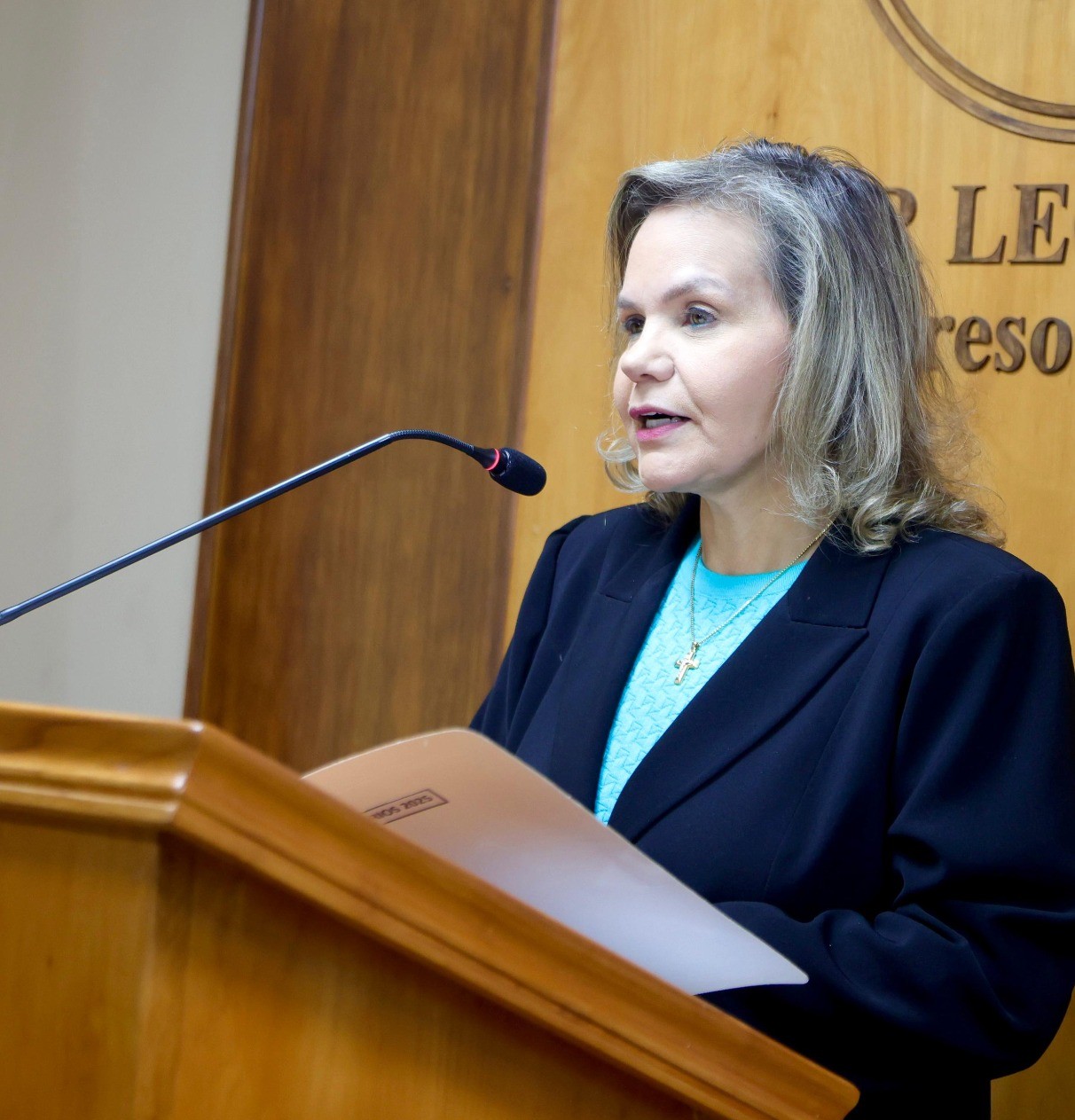 “Este sistema es infraterno y destruye la cohesión partidaria”, advirtió la senadora Lilian Samaniego