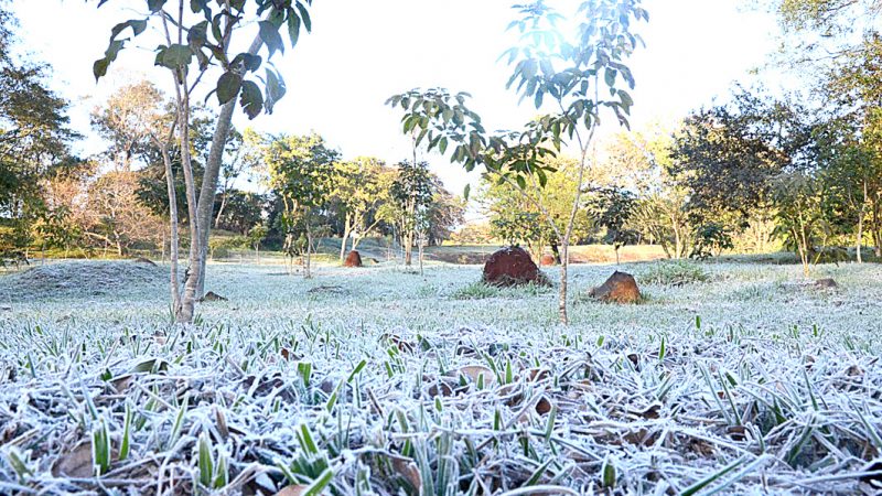 Heladas al acecho: Advierten riesgo para huertas y ganado en el interior del país