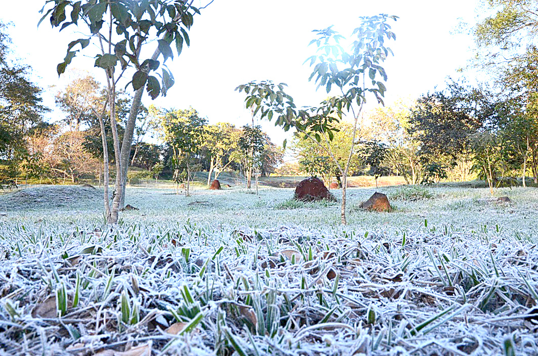 Heladas al acecho: Advierten riesgo para huertas y ganado en el interior del país