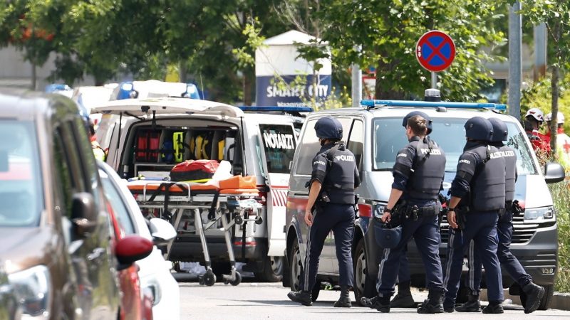 Tragedia en Austria: Tiroteo en escuela secundaria deja al menos 10 muertos