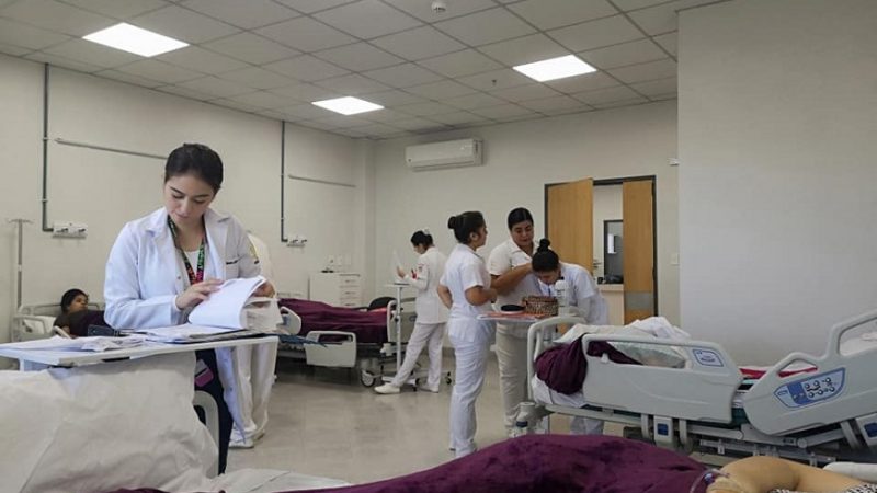 Ministerio de Salud define carga horaria para médicos: 12 horas semanales por vínculo