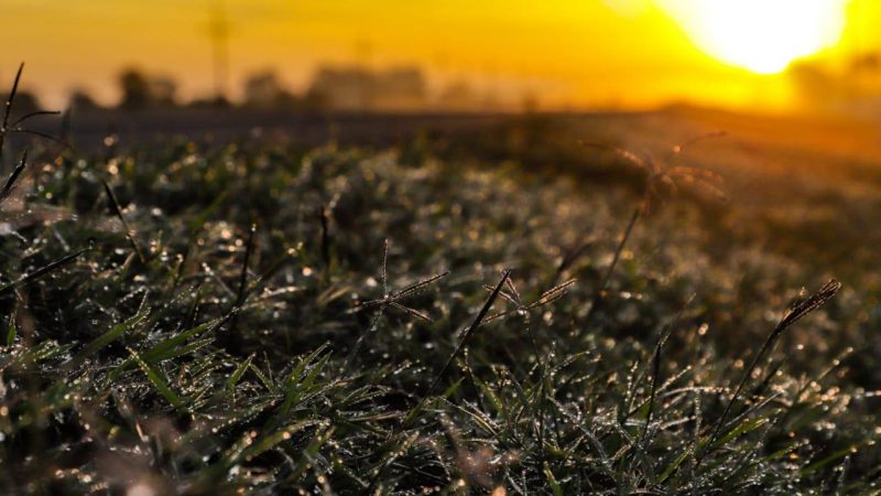 El frío regresará con fuerza en la quincena de julio, advierte Meteorología