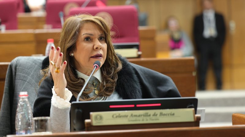 “Si yo fuera, ya los hubiera echado”: Celeste Amarilla exige cambios urgentes en el gabinete de Peña