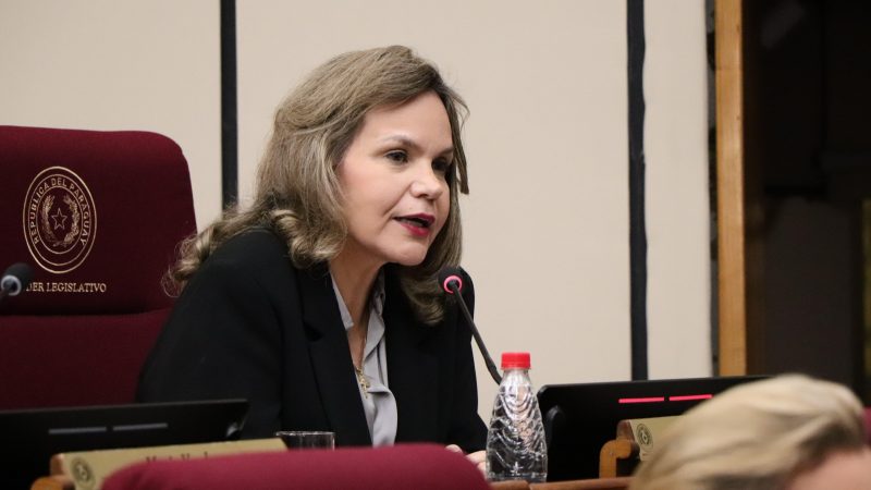 Samaniego lamenta tardanza del Gobierno: Pide enviar cuanto antes proyecto sobre transporte público