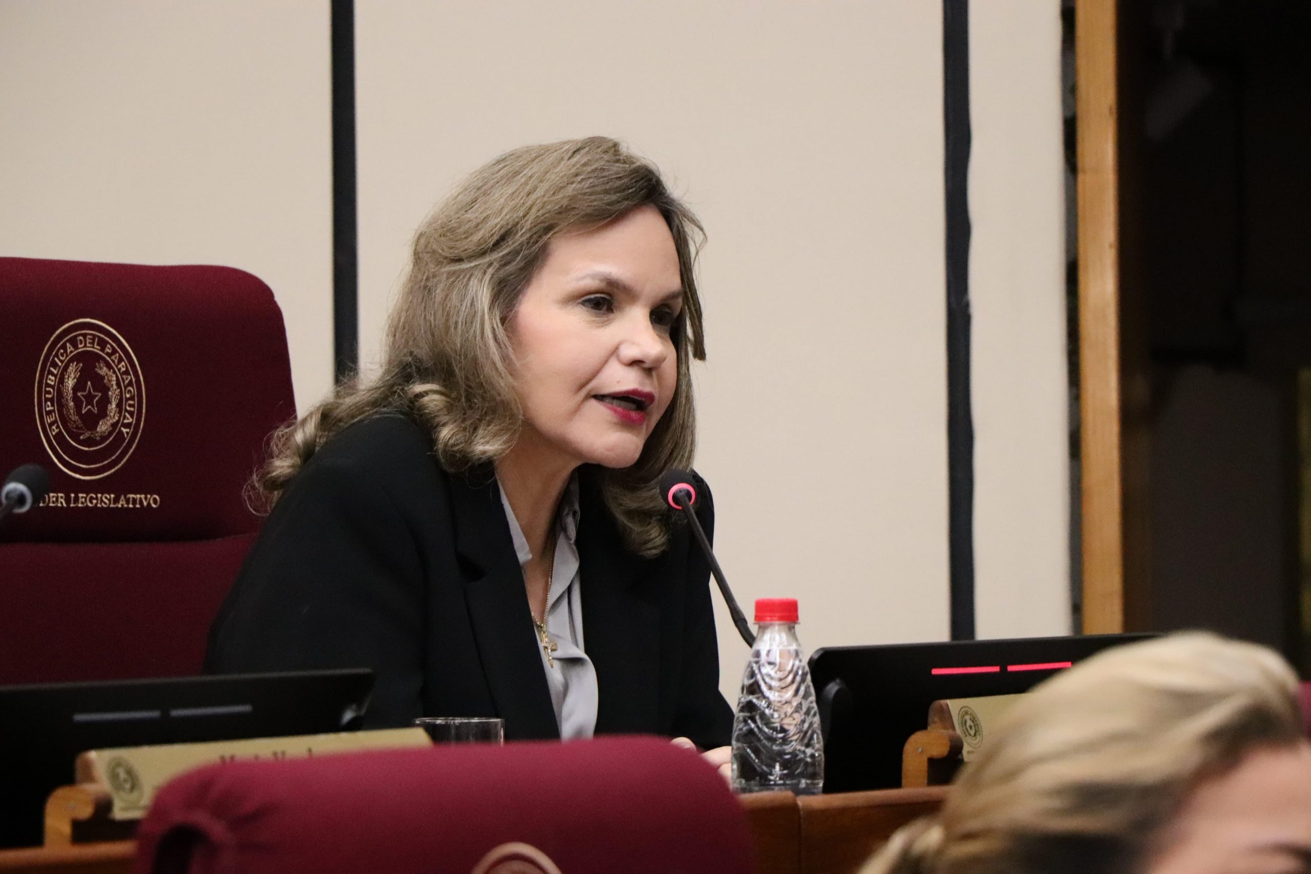 Samaniego lamenta tardanza del Gobierno: Pide enviar cuanto antes proyecto sobre transporte público