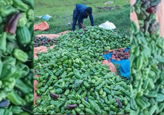 Precios elevados y compras ajustadas en el Mercado 4: el locote lidera la suba en la canasta básica