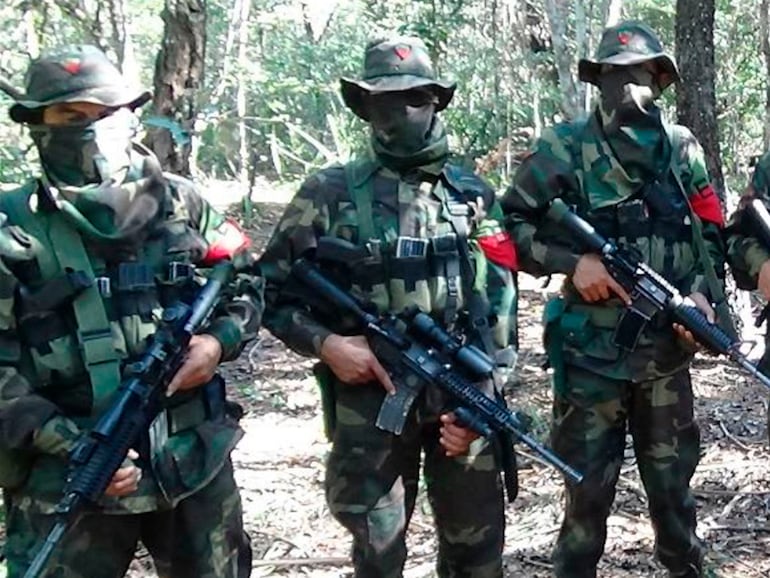 EPP no logró hacer «crecer su ideología» y le quedan solo 12 miembros, dice comandante militar