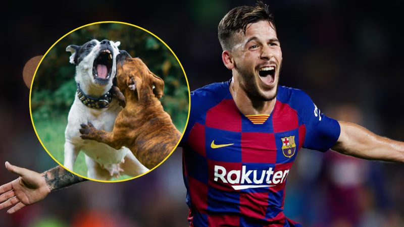 Exjugador del Barcelona fue mordido por un perro en los genitales