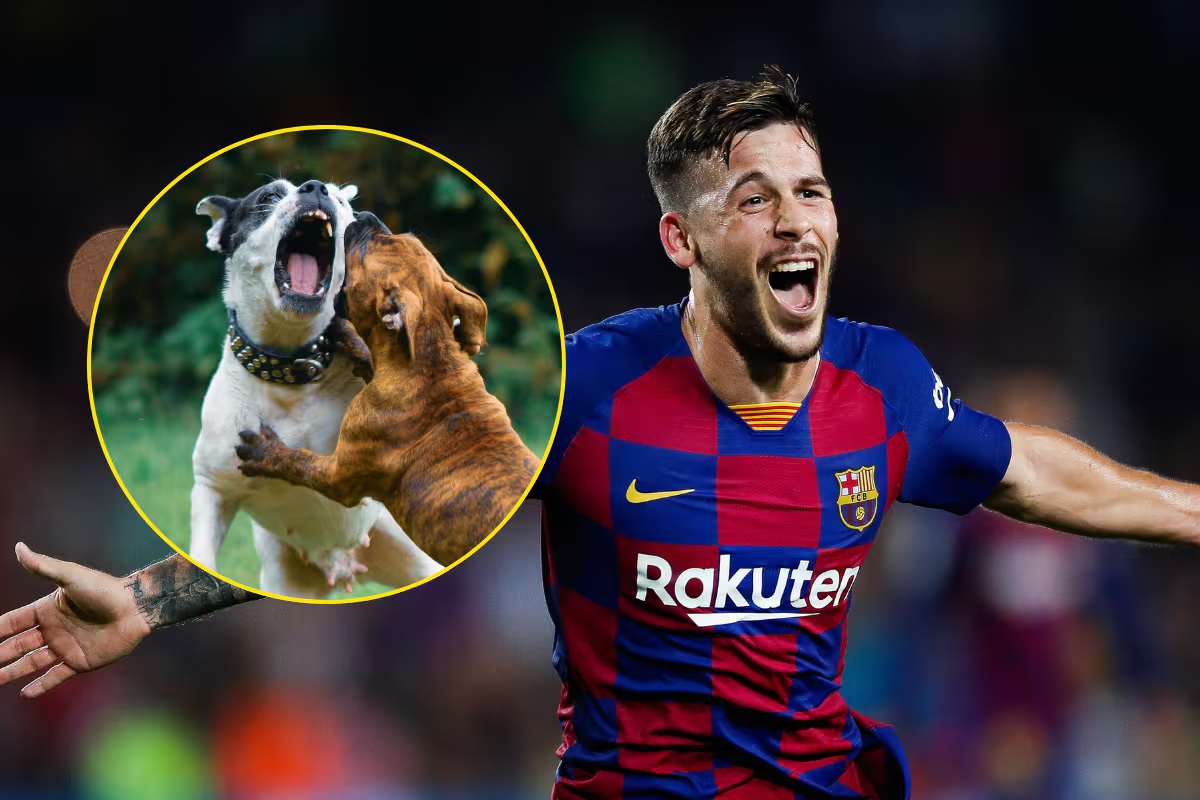 Exjugador del Barcelona fue mordido por un perro en los genitales
