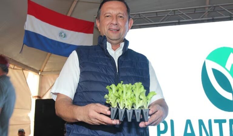 Escándalo en SENAVE: «Nos pedían G. 10 millones por un certificado que cuesta G. 17.000»