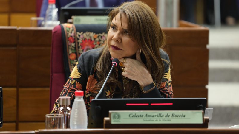 “Es el perro de Cartes y nexo del fentanilo”: Amarilla explota contra embajada de Leite en EE.UU.