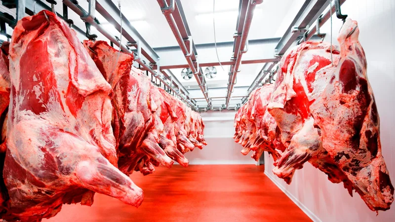 SENACSA rechaza posibilidad de que Brasil use a Paraguay para exportar carne a EE.UU.