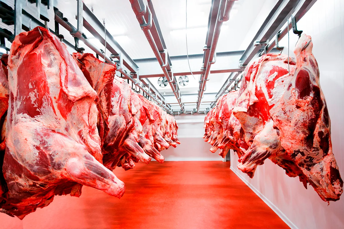 SENACSA rechaza posibilidad de que Brasil use a Paraguay para exportar carne a EE.UU.