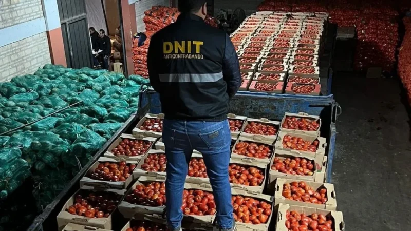 Orué afirma que la DNIT lidera combate al contrabando y cuestiona trazabilidad del SENAVE