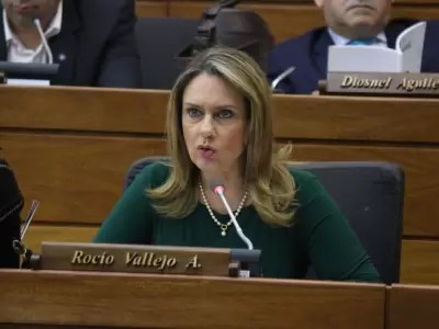 Opaci se salva otra vez: diputados opositores disparan contra la aplanadora de Honor Colorado