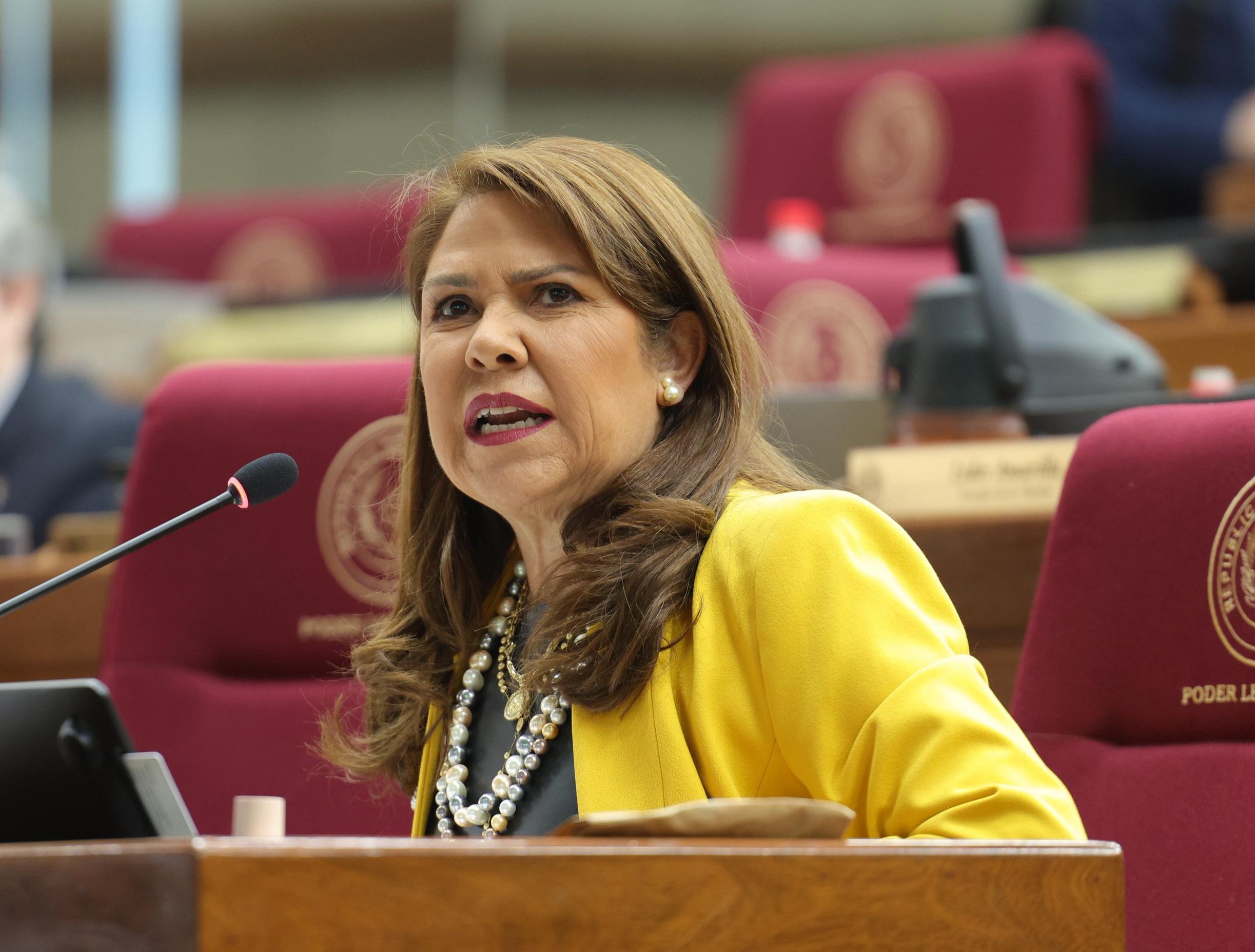 “La ANR tiene miedo”: senadores opositores denuncian intento de fraude preelectoral