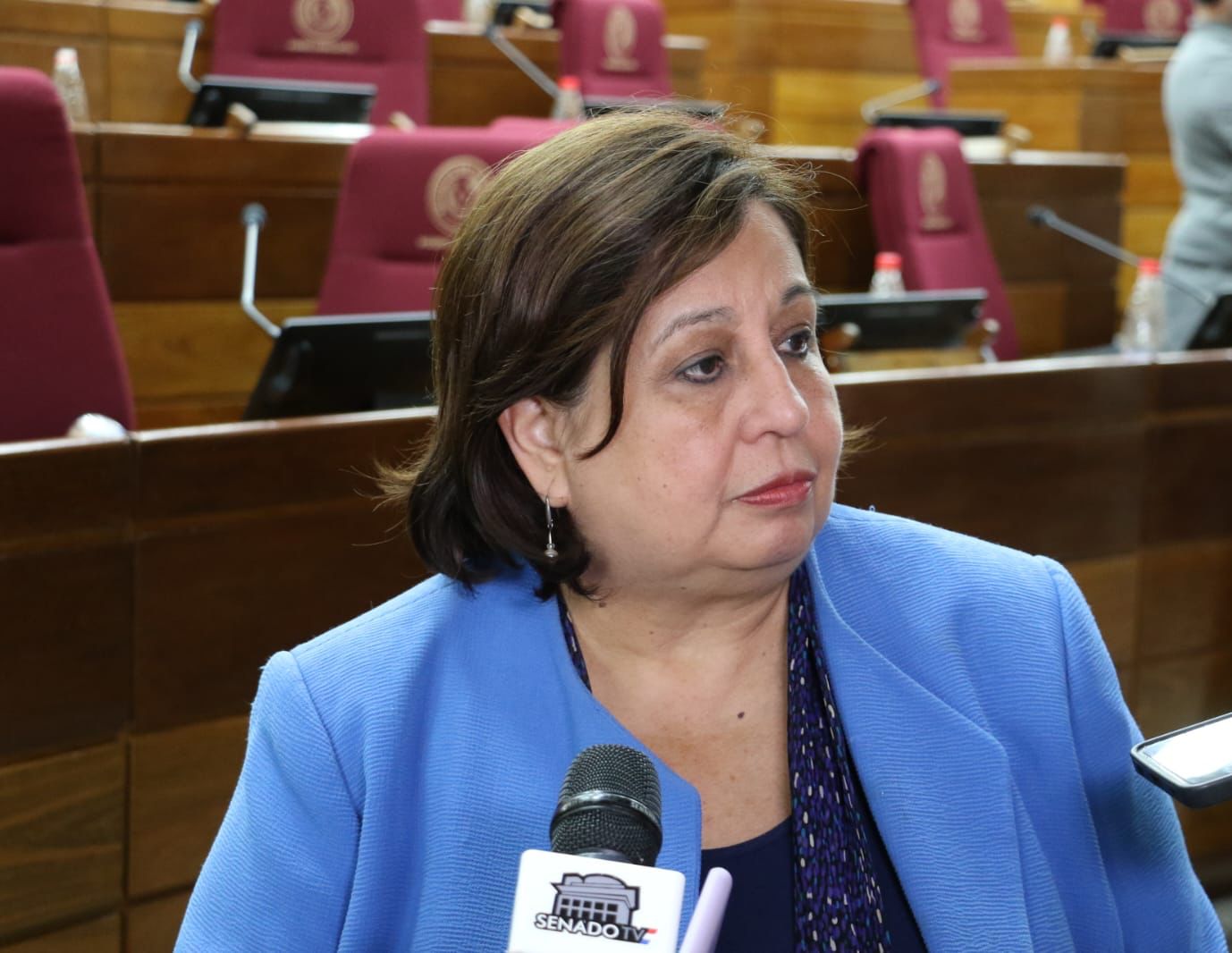 «El cartismo exige y el TSJE responde», acusó senadora Esperanza Martínez