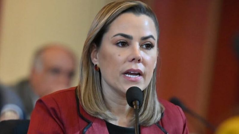 ¿Campaña con deuda pública? Lizarella responde con escribano, pero diputado Benítez no se retracta