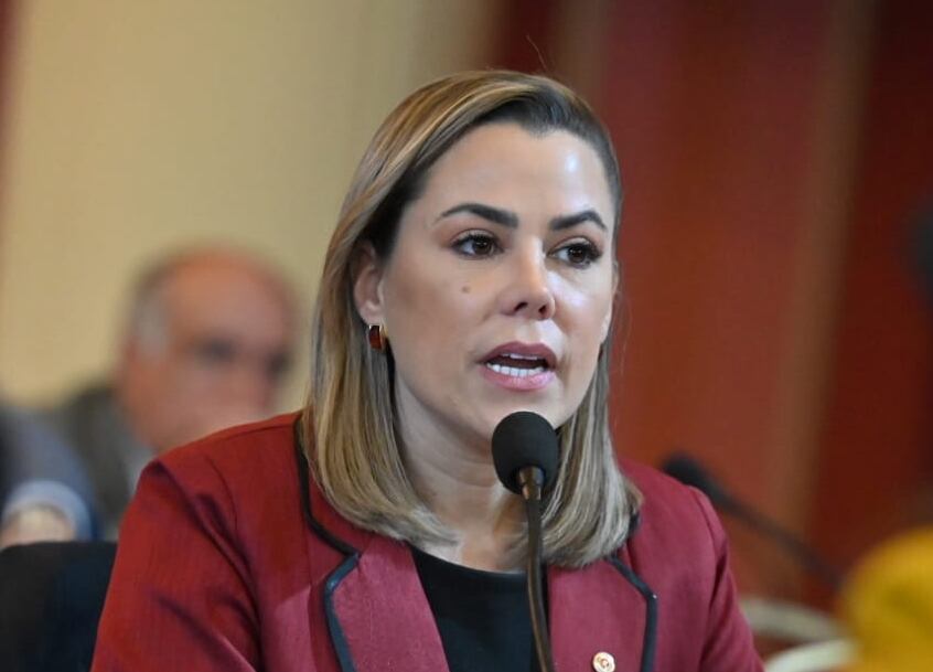 ¿Campaña con deuda pública? Lizarella responde con escribano, pero diputado Benítez no se retracta