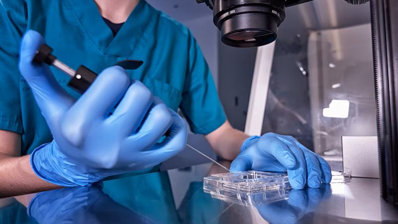 Infertilidad en debate: proponen acceso gratuito a reproducción asistida