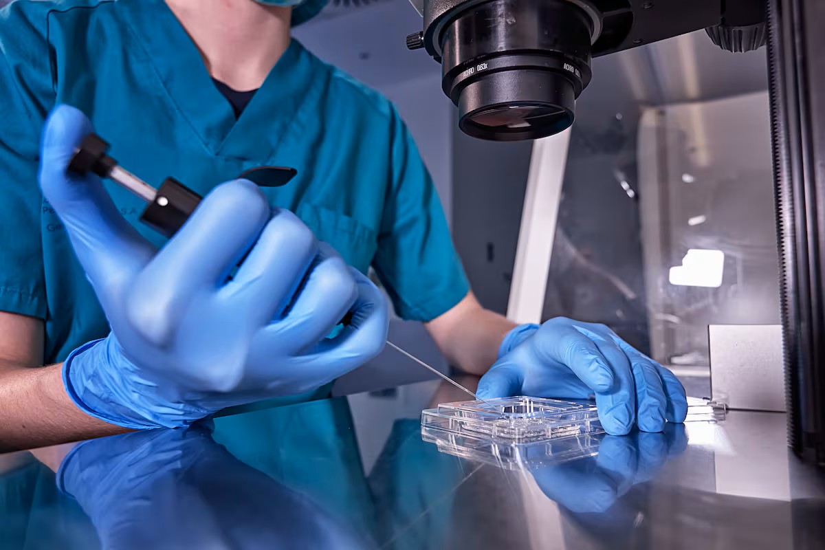 Infertilidad en debate: proponen acceso gratuito a reproducción asistida