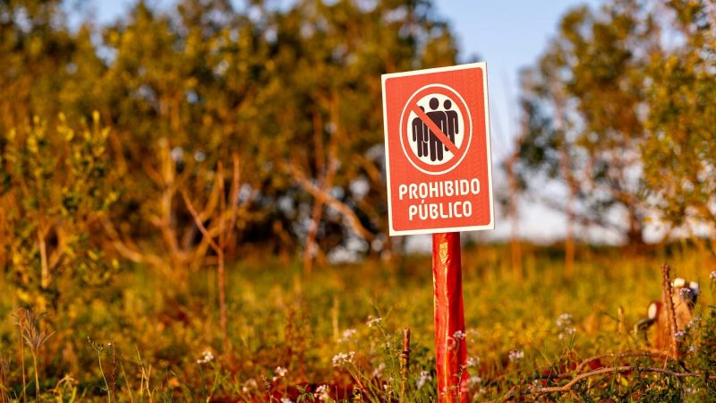 WRC Paraguay: no permitirán ingreso de equipos de sonido y drones