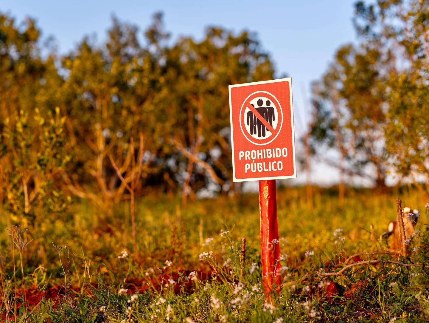 WRC Paraguay: no permitirán ingreso de equipos de sonido y drones