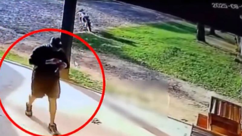 Muerte del veterinario fue un crimen por encargo, informan